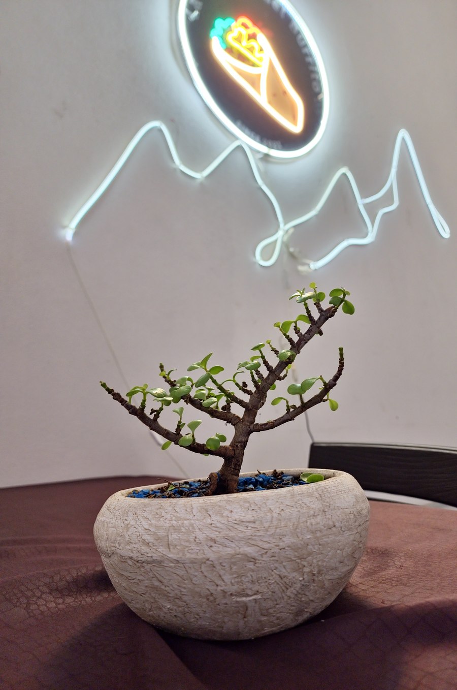 Interior de La Cumbre del Burrito con letrero de neón